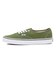 VN0A2Z3ZCIB　Authentic　COLOR THEORY PE　680552-0001