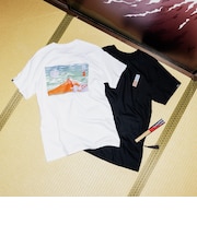 VN000ZV1WHT MT FUJI SS TEE White 699013-0001