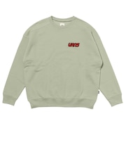 125K3043400　W patch logo sweat　SAGE　701885-0002