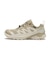 L45458100　X-ADVENTURE GTX W　Safari/Almond　717818-0001