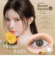 Angelcolor Bambi  Vintage 1day (エンジェルカラーバンビヴィンテージワンデー) 10枚入