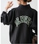 Champion / チャンピオン REVERSE WEAVE(R) HALF ZIP SWEAT