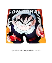 ドラゴンボールZ ポリエステルアンダーパンツ