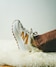 BONEL