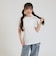 【デイリープライス】ロゴくまちゃん半袖Tシャツ