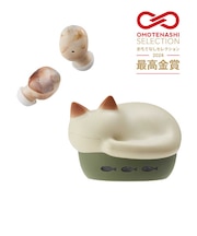 ラディウス　完全ワイヤレスイヤホン NEKO 猫 ミックス [ ワイヤレス ( 左右分離 ) / Bluetooth 対応 ]  HPC28BTN