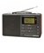オーム電機　Nラジオ ポータブル AudioComm ［ワイドFM対応 / AM/FM］ RADT700N
