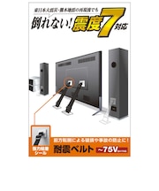 エレコム TV用耐震ベルト/~75V用/強力粘着シールタイプ/2本入 TS002N2