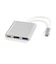 フリーダム　映像変換アダプタ [USB-C オス→メス HDMI /USB-A＋USB-Cメス(給電用 PD100W対応)] シルバー FHDMIADC4PCH