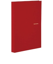 セキセイ ハーパーハウス レミニッセンス ミニポケットアルバム 高透明 L判80枚収容 XP5580