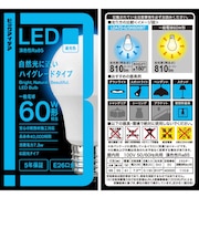 ビックアイデア　LED電球 E26 一般電球形 60W相当 昼光色 1個 全方向タイプ 【安心5年保証】LDA7DGSK60XBIT