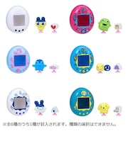 バンダイ 【再販】Tamagotchi Pitta(たまごっちピッタ) Vol.1 (単品)TAMAGOTCHIPITTAVOL1
