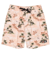 Quiksilver EVERYDAY STRAIGHT VL 19 メンズ ボードショーツ