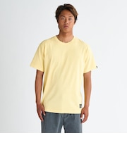 Quiksilver DNA BUBBLE LOGO ST メンズ Tシャツ
