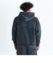 【DC ディーシー公式通販】ディーシー (DC SHOES)DC Shoes 25 HIDDEN ZH フーディ パーカー 裏起毛 セットアップ メンズ