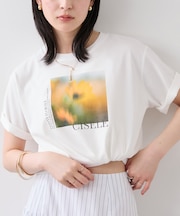 フォト&ロゴアソートプリントTシャツ/接触冷感・汗染み防止