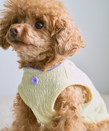【DOG】パイピングタンクトップ