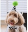 【DOG】【comif(コミフ)×ROPE' PICNIC】バースデーセット