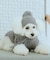 【DOG】リブ切り替えニットワッチ