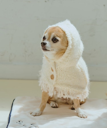 【DOG】ニットポンチョ