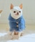 【DOG】ニットポンチョ