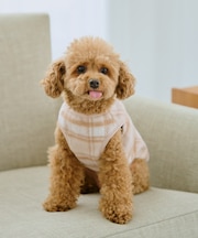 【DOG】チェック柄シャギーベスト