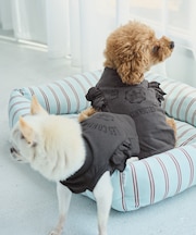 【DOG】カレッジロゴプリントピグメントTシャツ/リンクコーデ