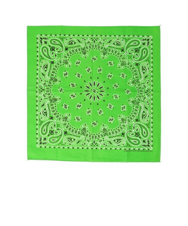 USA PAISLEY BANDANNAS:ペイズリー バンダナ