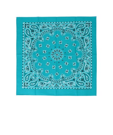 USA PAISLEY BANDANNAS:ペイズリー バンダナ