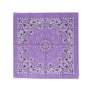 USA PAISLEY BANDANNAS:ペイズリー バンダナ