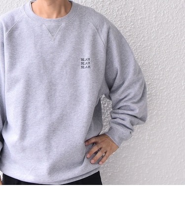 【WEB限定】SHIPS any: BLAH BLAH BLAH. ワンポイント 刺繍 ラグラン ルーズ スウェット◇