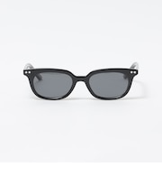 SZADE: BATES POLARISED
