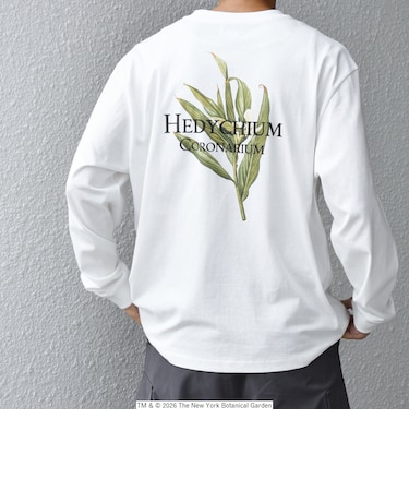 【SHIPS any別注】NYBG: ボタニカル プリント リラックス Tシャツ (ロンT)◇