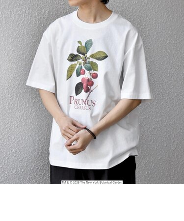 【SHIPS any別注】NYBG: ボタニカル プリント リラックス Tシャツ◇