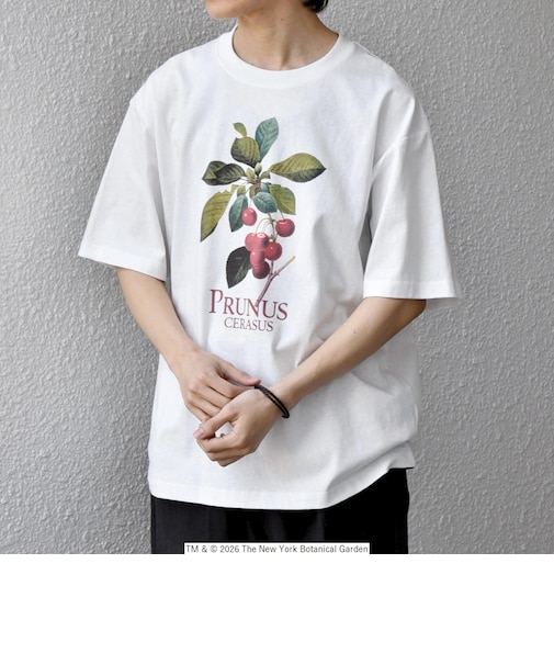 【SHIPS any別注】NYBG: ボタニカル プリント リラックス Tシャツ◇