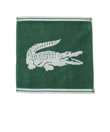 LACOSTE: ワニロゴ ハンカチ タオル