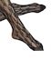 FALKE: HOLLY TIGHTS レース ホリー タイツ