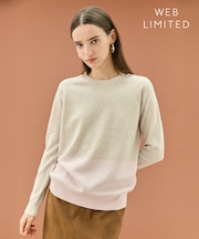 【WEB限定・洗える】DEMING / バイカラーウールクルーネックニット