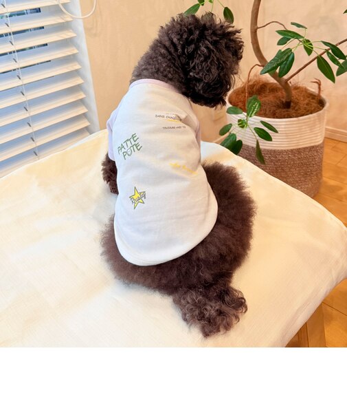 【FR PETS】メッセージ配色Tシャツ