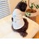 【FR PETS】メッセージ配色Ｔシャツ
