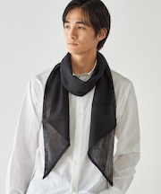 ラメストール