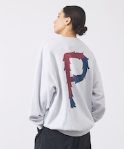【POLER/ポーラー】BIG LOGO CREW/ビッグロゴ クルーネックスウ