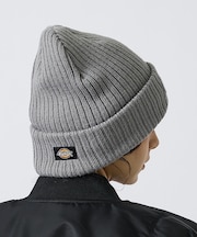 【Dickies / ディッキーズ】BLOCK FONT WAPPEN WATC