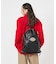 【DICKIES/ディッキーズ】 ICON LOGO KNAPSACK SL/