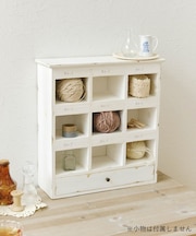《WEB限定再入荷》ドロワー付きコレクションラック/choupinet