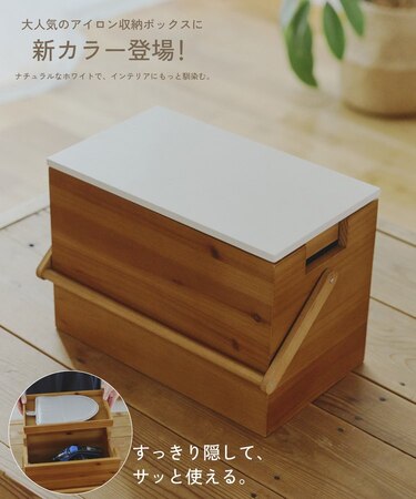 《WEB限定商品》アイロン収納ボックス