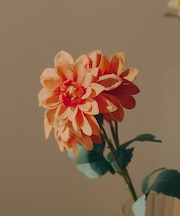 アートフラワーダリア／花のある暮らし
