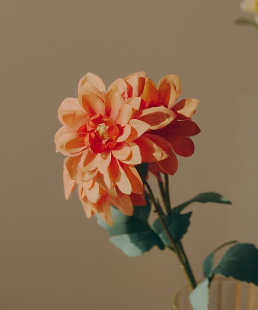 アートフラワーダリア／花のある暮らし
