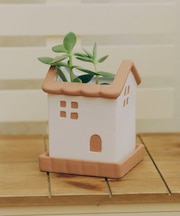 受け皿付きおうちポット2号/おうち植物