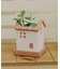 受け皿付きおうちポット2号／おうち植物